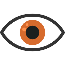 eye icon