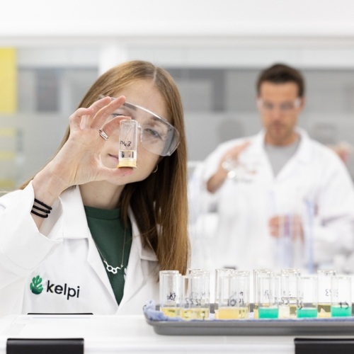 Kelpi scientists examining a test tube in the lab